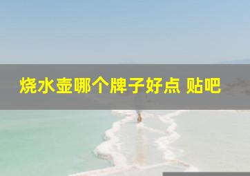 烧水壶哪个牌子好点 贴吧